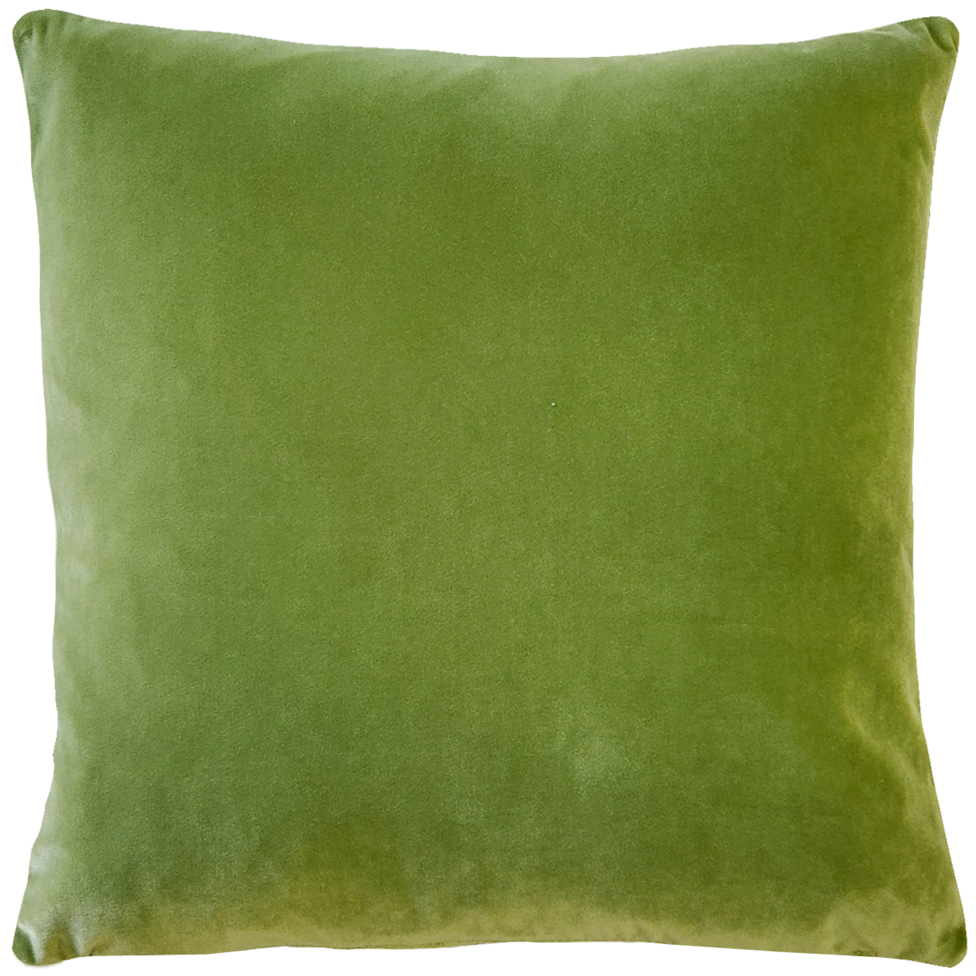 Velvet clearance green throw