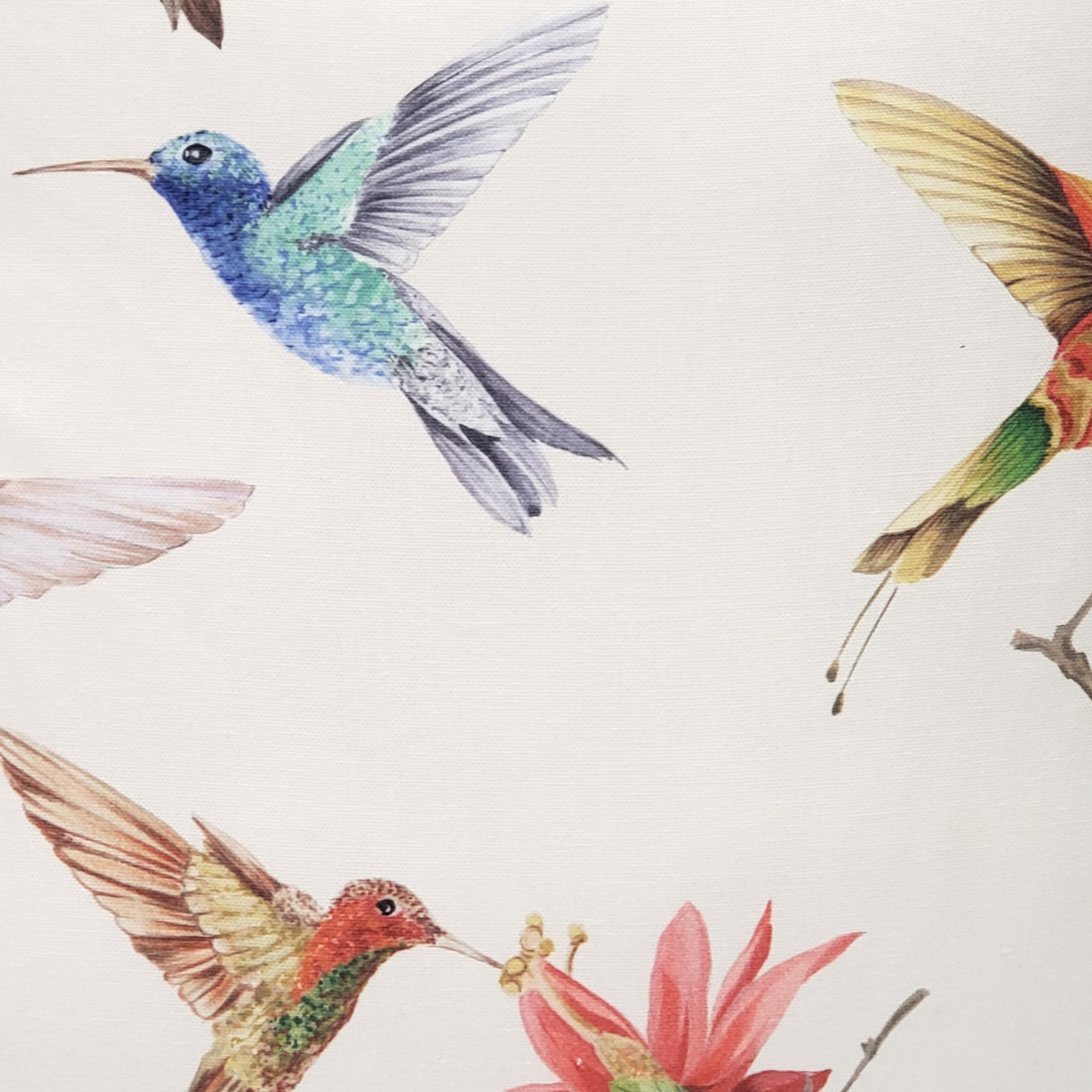 Hummingbird clearance throw pillows