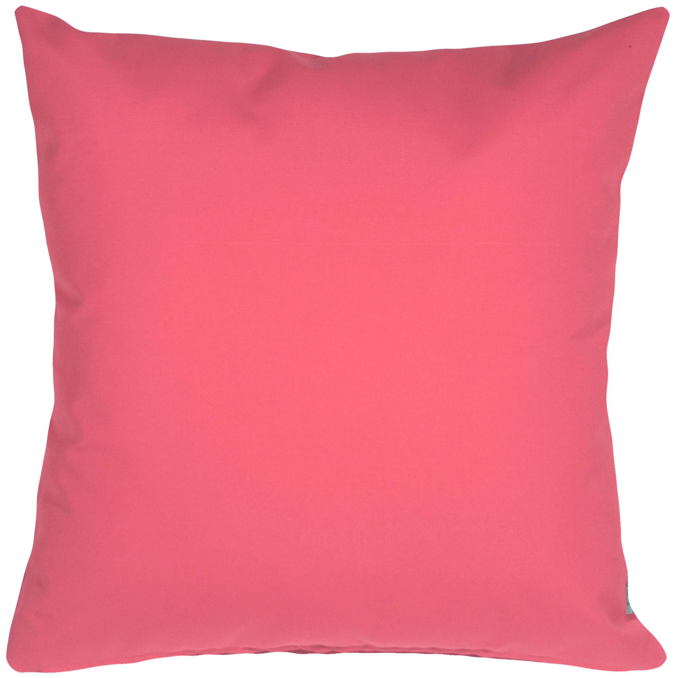 Bright pink hot sale outdoor pillows