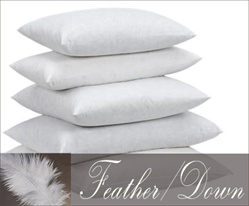 Feather Down Insert