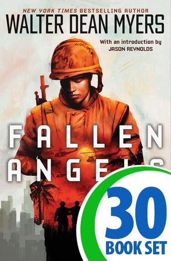Fallen Angels - 30 Books and Complete Teacher's Kit