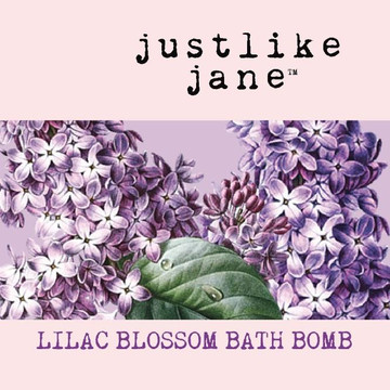 Fizzy Bath Bomb - Lilac Blossom 4.5 oz - 698869618452