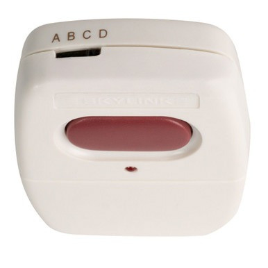 Skylink 39 Universal Garage Door Remote