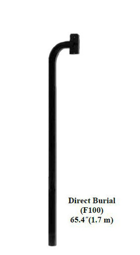 Direct Burial Mount Gooseneck Pedestal F100 for Residential Gate Automation Systems by GTO