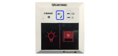 Guardian GUDT-212 Door Control Console With Speaker for Model 628FCA