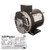 LiftMaster K20-3050B-4P-H24 Motor - 1/2HP