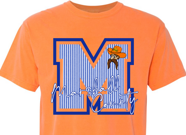 PSC - Marshall Royal Pinstripe