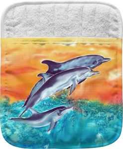 Dolphins Pocket Mitt