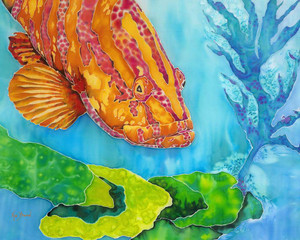 Grouper Art by kim braum Grouper Art by kim braum