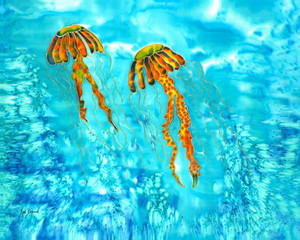 Jellyfish - Dunedin Gallery