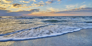 Tranquil Tide - Dunedin Gallery