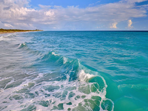 Blue Hues - Dunedin Gallery