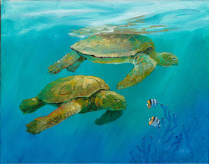 Sea Turtles - Dunedin Gallery