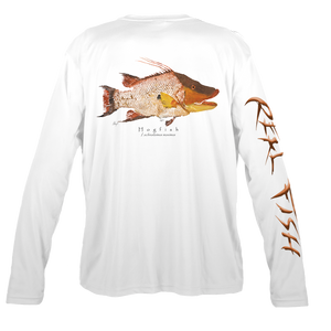 Hogfish back white