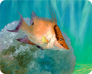 Bill Renc Hogfish cutting board