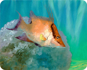 Bill Renc Hogfish cutting board