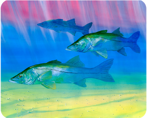 Snook cutting board