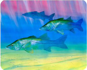 Snook cutting board