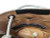 handbag inside photo