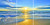 Honeymoon Island State Park panels
