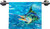 Splash The Marlin Hand Towel with bar