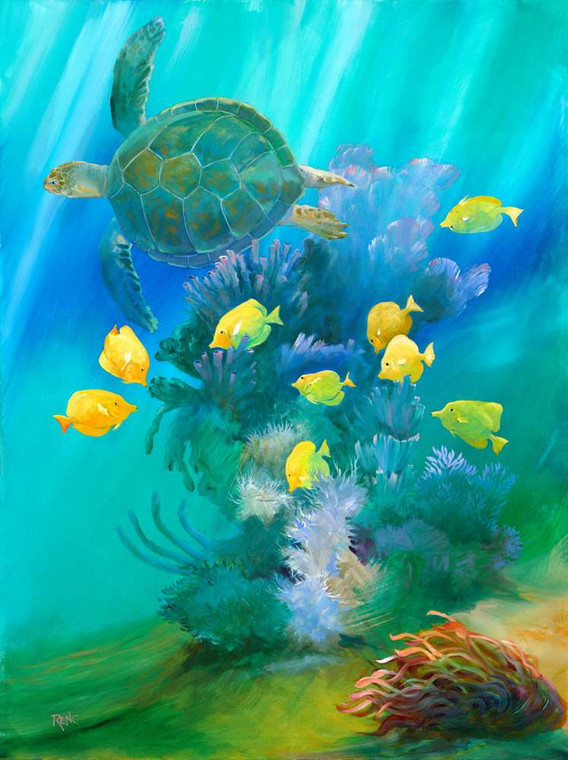 Turtle Art - Dunedin Gallery