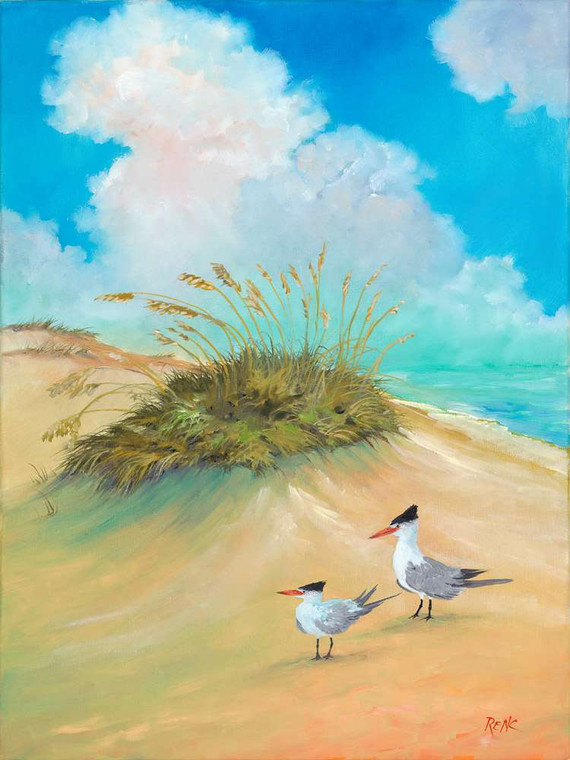 Warm Sun Sand - Dunedin Gallery