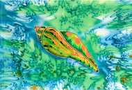 Conch Shell Placemat