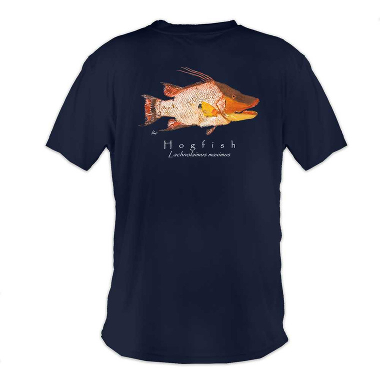 Hogfish navy blue back