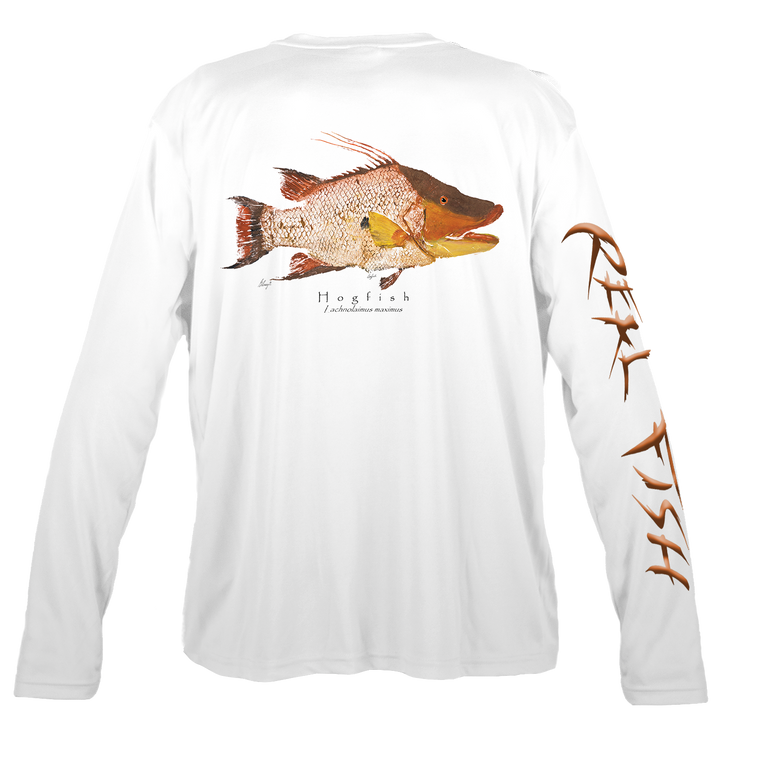 Hogfish back white