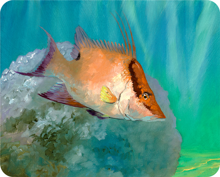 Bill Renc Hogfish cutting board