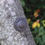 Mona Lisas Artisan Hand Forged Iron Clavos Mona Lisas Artisan Hand Forged Iron Clavos