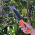 Outdoor Sawback Land Master Hunting Knife Outdoor Sawback Land Master Hunting Knife