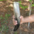 Stand with Drinking Shield Knot Horn Vessel Set Stand with Drinking Shield Knot Horn Vessel Set