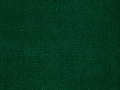 encore-22-green-682x1024