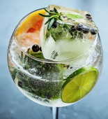 The Art of the Spanish Gin Tónica