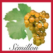 Semillon