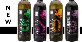 What's New? Lanchava Collection