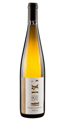 Bott-Geyl Points Cardinaux Metiss