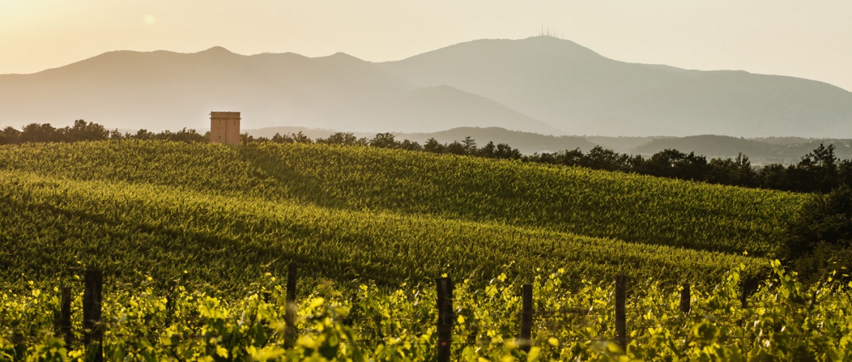 Tenuta Santa Lucia