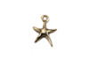 Starfish - Vermeille