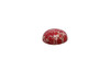Dyed Red Impression Jasper Polished 15mm Round Cabochon