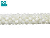 Mother of Pearl Polished 6mm Round