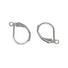 Stainless Steel Leverback Earrings - 1 Pair