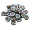 Czech Glass 12mm Hibiscus Flower Bead - Light Blue Silk with Picasso Finish