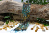 Hubei Turquoise Polished Banded 4mm Faceted Cube