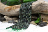 Kambaba Jasper Polished 8mm Faceted Coin
