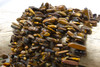 Tiger Eye Polished 6x18mm Long Chips