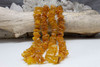 Natural Amber Rough 20-25mm Chips