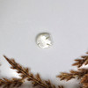 Mother of Pearl Polished 10mm Fish